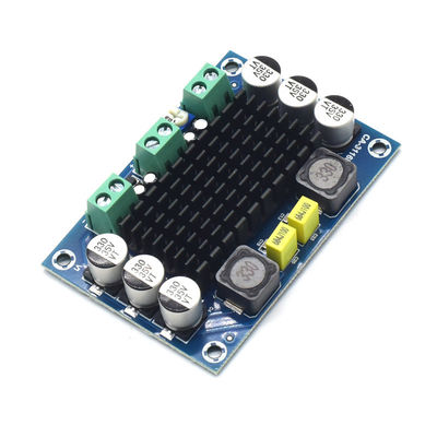 CA-3116D Original 100W Mono Audio Verstärker Board mit TPA3116D2 Chip und 12-24V Eingang