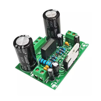 100W Mono Amplifier Board mit Dual AC12-32V Stromversorgung für 2 Kanäle