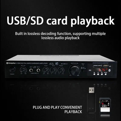LDZS 5.1 Kanal professioneller Audioverstärker Ktv Heimkino System 2 Mikrofone Eingabe Sprechermixer