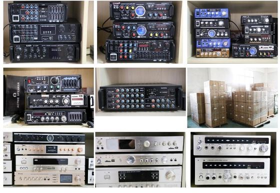 LDZS 5.1 Kanal professioneller Audioverstärker Ktv Heimkino System 2 Mikrofone Eingabe Sprechermixer