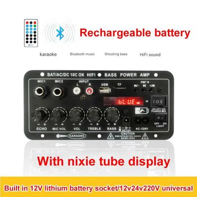 24 V/220 V Auto-Verstärker, Mono-Audio-Verstärker mit 120 W Leistung, Dual-Mikrofon und Bluetooth für Subwoofer und Karaoke