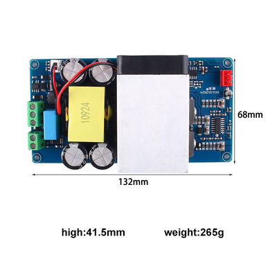 1000W Super Power Mono Digital Amplifier Board für Subwoofers mit 2 Kanälen