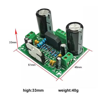 100W Mono Amplifier Board mit Dual AC12-32V Stromversorgung für 2 Kanäle