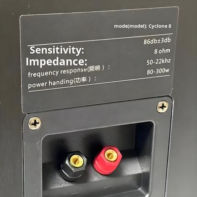 Anzug:Cyclone Nr. 8 Gemalte Drei-Wege-Hausverstärker Lautsprecher Set mit SR8800 Verstärker und 10-Zoll-Subwoofer