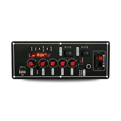 Wireless Wired Microphone Trolley Lautsprecher mit FM-Radio und Bt Decoder Verstärker Board